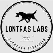 Canil Lontras Labs